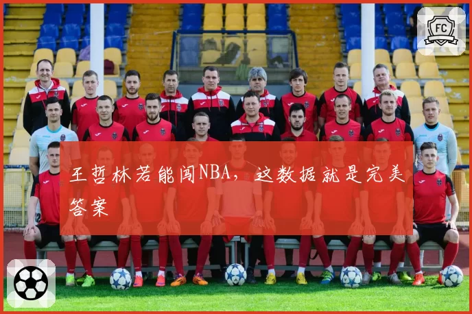王哲林若能闯NBA，这数据就是完美答案