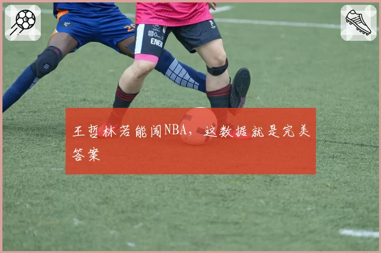 王哲林若能闯NBA，这数据就是完美答案